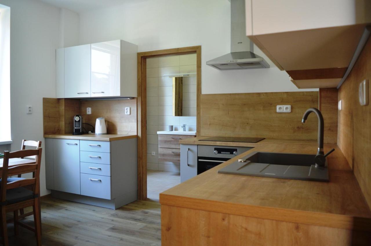 Apartment U Maleho Jezu Ceske Budejovice