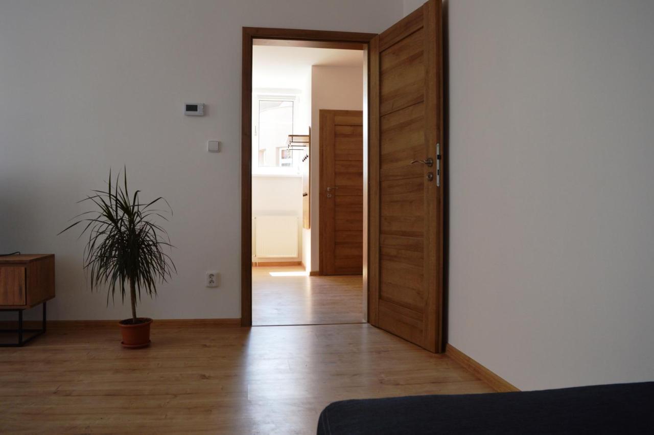 U Maleho Jezu Apartment Ceske Budejovice